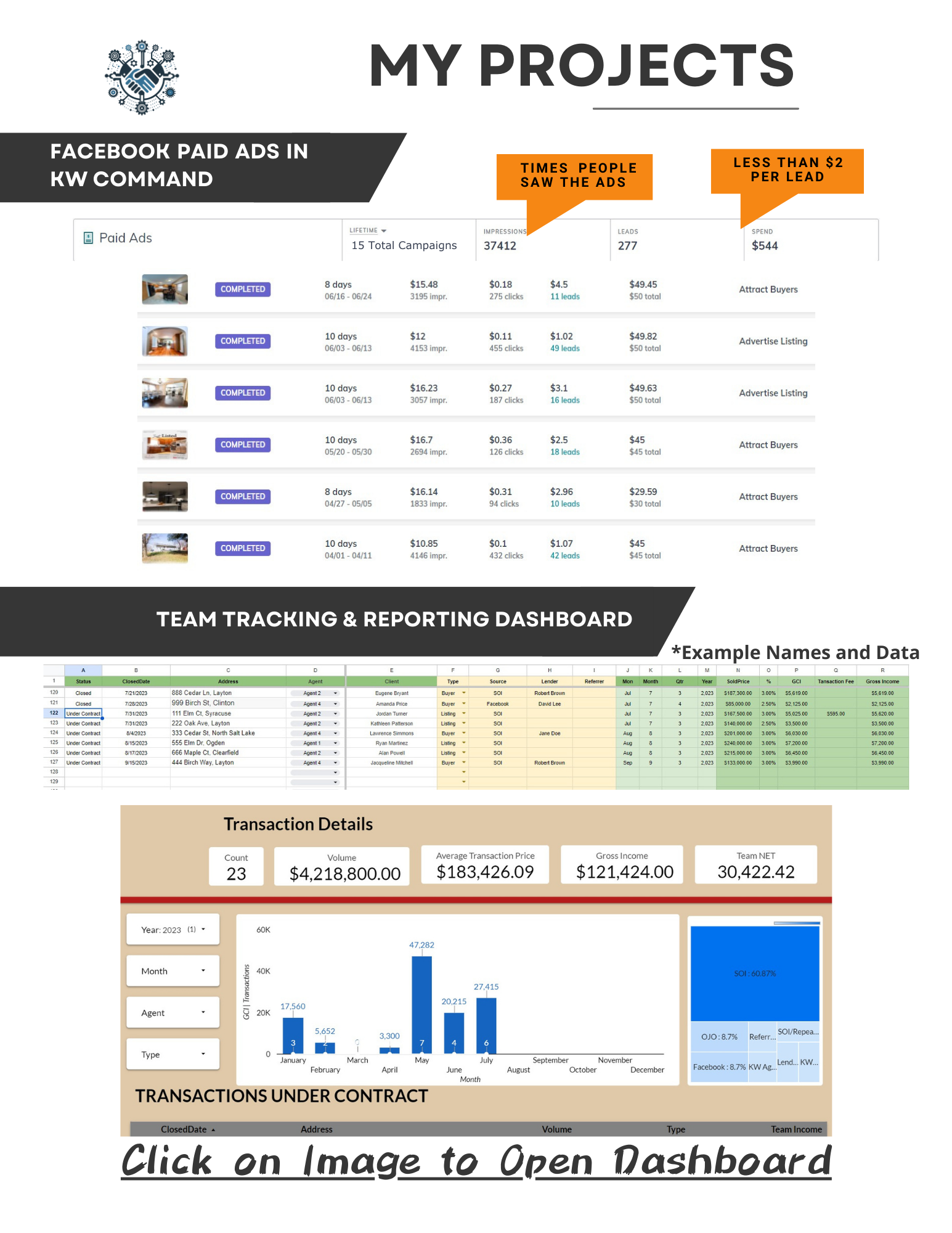 Real Estate Virtual Assistant Paid Ads Campaign Results